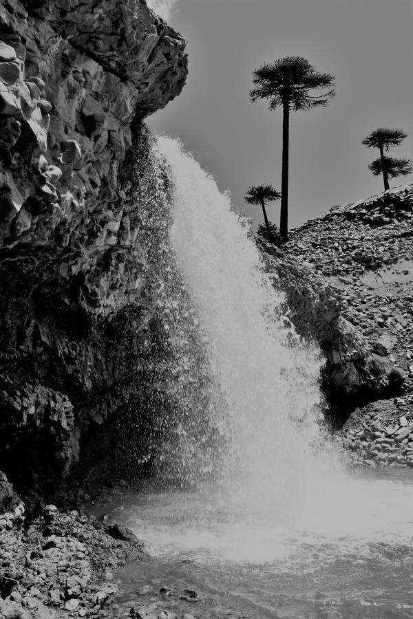 Cabanas Agua Clara Villa Pehuenia Dış mekan fotoğraf